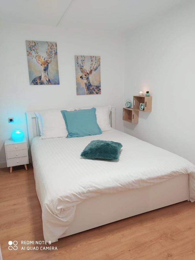 Appartement Rez De Chaussee 2 Chambres Avec Terrasse Cambo-les-Bains Eksteriør billede